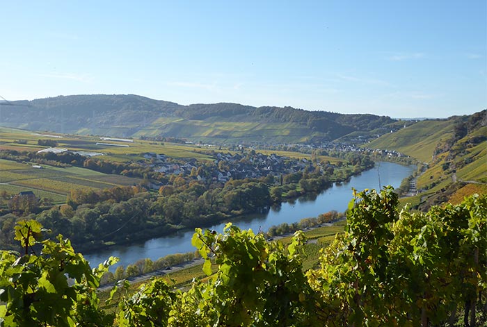 Mosel Region